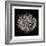 Datura II-Chris Dunker-Framed Collectable Print