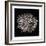 Datura II-Chris Dunker-Framed Collectable Print