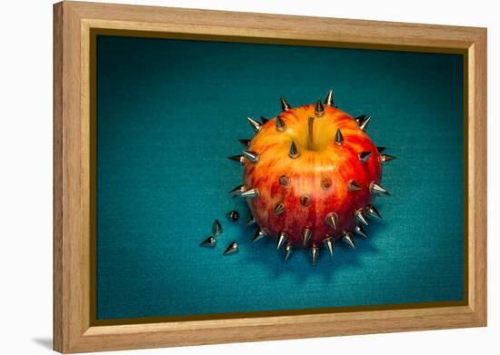 datura / stechapfel-tom r. grabuschnigg-Framed Premier Image Canvas