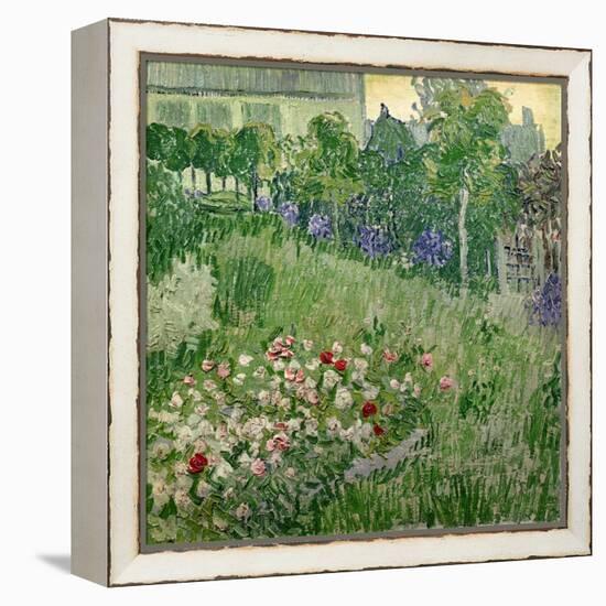 Daubigny's Garden, 1890-Vincent van Gogh-Framed Premier Image Canvas