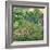 Daubigny's Garden, 1890-Vincent van Gogh-Framed Giclee Print