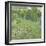 Daubigny's Garden, 1890-Vincent van Gogh-Framed Giclee Print