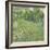 Daubigny's Garden, 1890-Vincent van Gogh-Framed Giclee Print