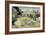 Daubigny's Garden by Vincent Van Gogh-Vincent van Gogh-Framed Giclee Print