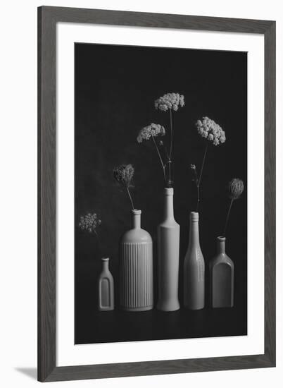 Daucus Carota-Lydia Jacobs-Framed Photographic Print