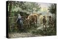 Stretched Canvas Print