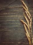 Vintage Wheat Background-daughter-Photographic Print