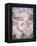 Daughters of the Mist-Evelyn De Morgan-Framed Premier Image Canvas