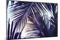 Premium Photographic Print