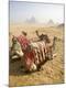 Photographic Print