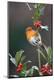 Premium Photographic Print