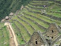 Terraced Fields at Machu Picchu-Dave G. Houser-Photographic Print