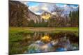 Photographic Print