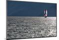 Premium Photographic Print