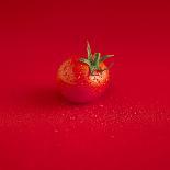 A Wet Tomato on a Red Surface-Dave King-Photographic Print