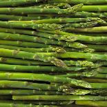 Green Asparagus Spears-Dave King-Photographic Print