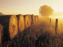Misty Morning, Farmland and Wheat Straw Rolls, Near St. Adolphe, Manitoba, Canada-Dave Reede-Photographic Print