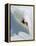 Dave Richards Skiing in Deep Powder Snow-Lee Cohen-Framed Premier Image Canvas