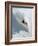 Dave Richards Skiing in Deep Powder Snow-Lee Cohen-Framed Photographic Print