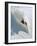 Dave Richards Skiing in Deep Powder Snow-Lee Cohen-Framed Photographic Print