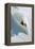 Dave Richards Skiing in Deep Powder Snow-Lee Cohen-Framed Premier Image Canvas