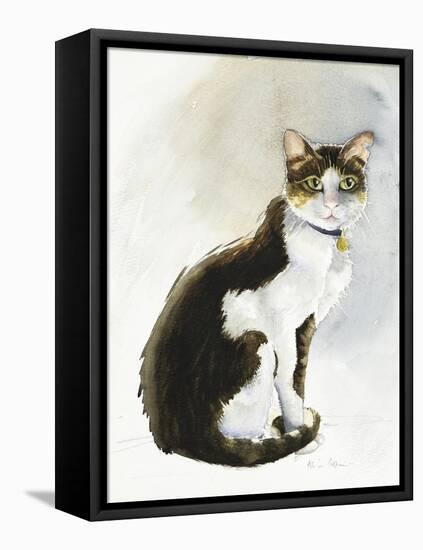 Dave the Saudi Cat, 2019 (Watercolour)-Alison Cooper-Framed Premier Image Canvas