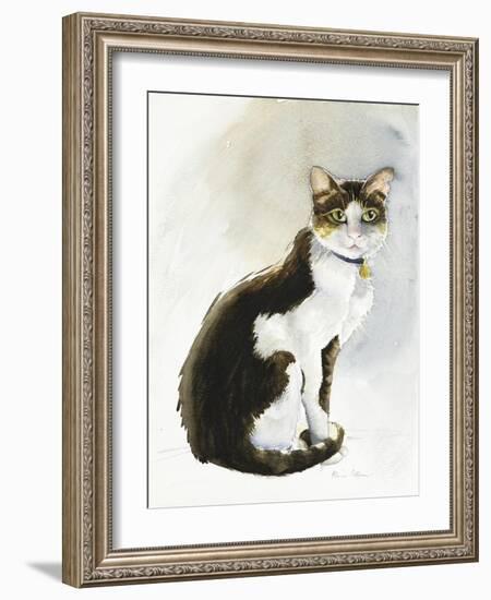 Dave the Saudi Cat, 2019 (Watercolour)-Alison Cooper-Framed Giclee Print