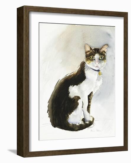 Dave the Saudi Cat, 2019 (Watercolour)-Alison Cooper-Framed Giclee Print