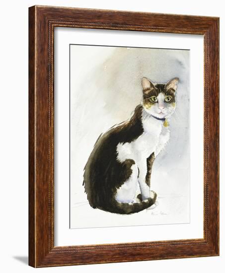 Dave the Saudi Cat, 2019 (Watercolour)-Alison Cooper-Framed Giclee Print