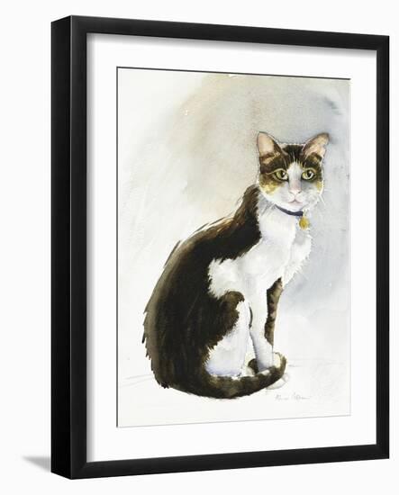 Dave the Saudi Cat, 2019 (Watercolour)-Alison Cooper-Framed Giclee Print