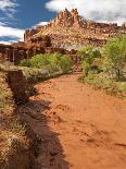 Bryce Canyon National Park, Utah, USA-Dave Welling-Photographic Print