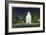 Davenport, Iowa, Vanderveer Park View of the Fountain at Night-Lantern Press-Framed Art Print