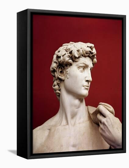 David, 1501-04-Michelangelo Buonarroti-Framed Premier Image Canvas