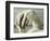 David, 1501-1504-null-Framed Giclee Print