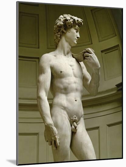 David, 3/4 Profile-Michelangelo Buonarroti-Mounted Giclee Print