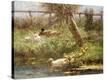 Stretched Canvas Print
