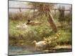 Giclee Print