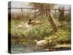 Stretched Canvas Print
