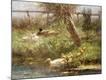 Giclee Print