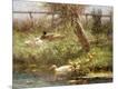 Giclee Print