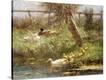 Stretched Canvas Print