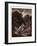 David and Jonathan-Gustave Dore-Framed Giclee Print