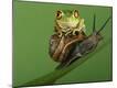 Premium Photographic Print