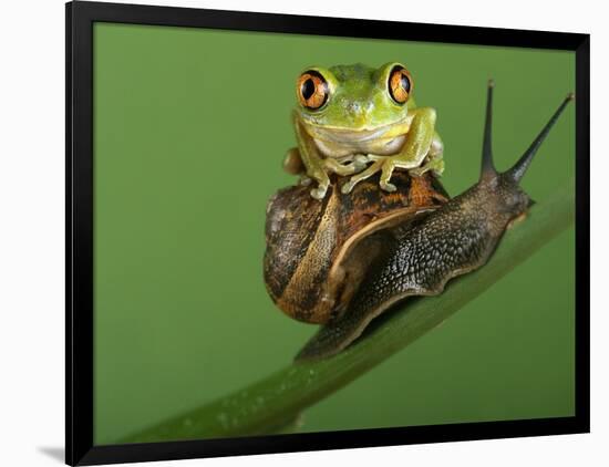 Photographic Print, , large