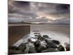 Premium Photographic Print