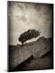 Premium Photographic Print