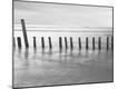 Premium Photographic Print