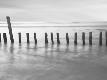 Premium Photographic Print