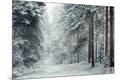 Premium Photographic Print