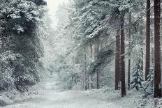 Graveyard in England in Winter-David Baker-Photographic Print